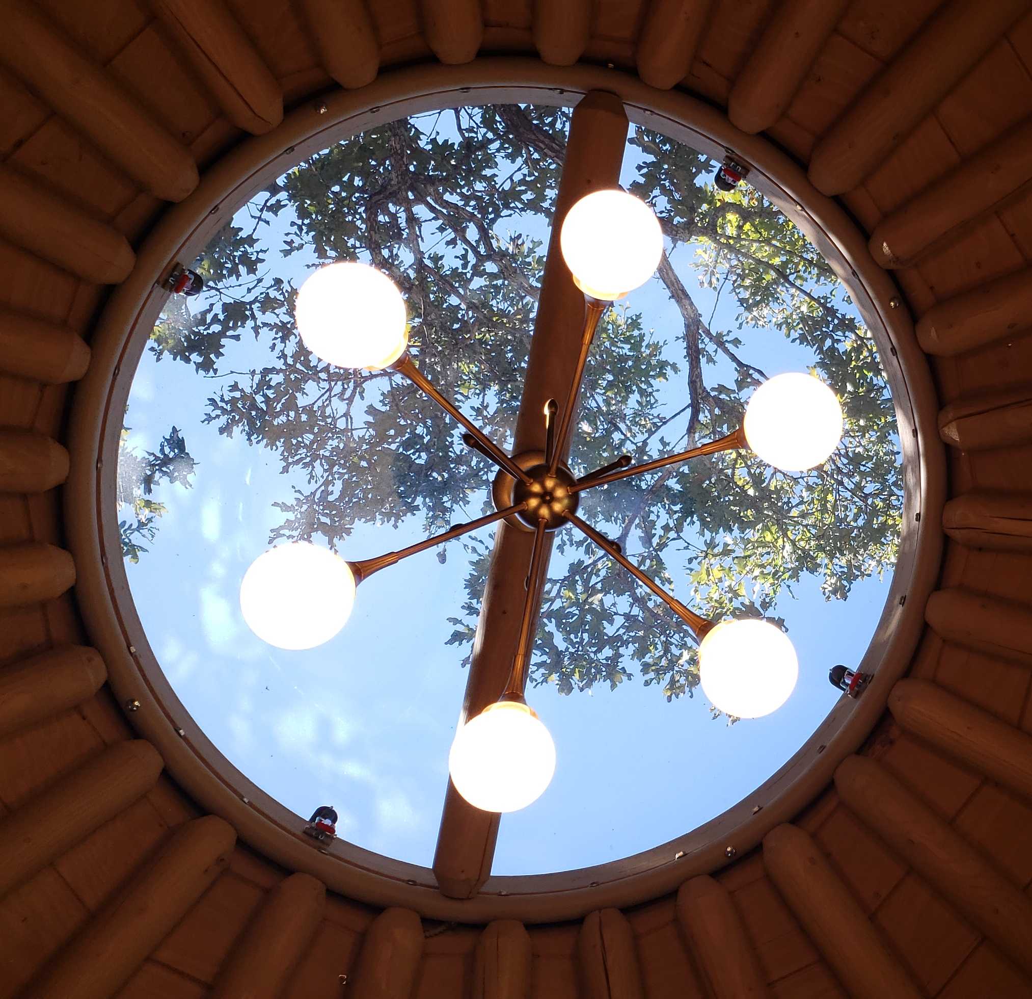 14 Wall Luxury Yurt-Cabin Kit with Solid Walls by Freedom Yurt-Cabins