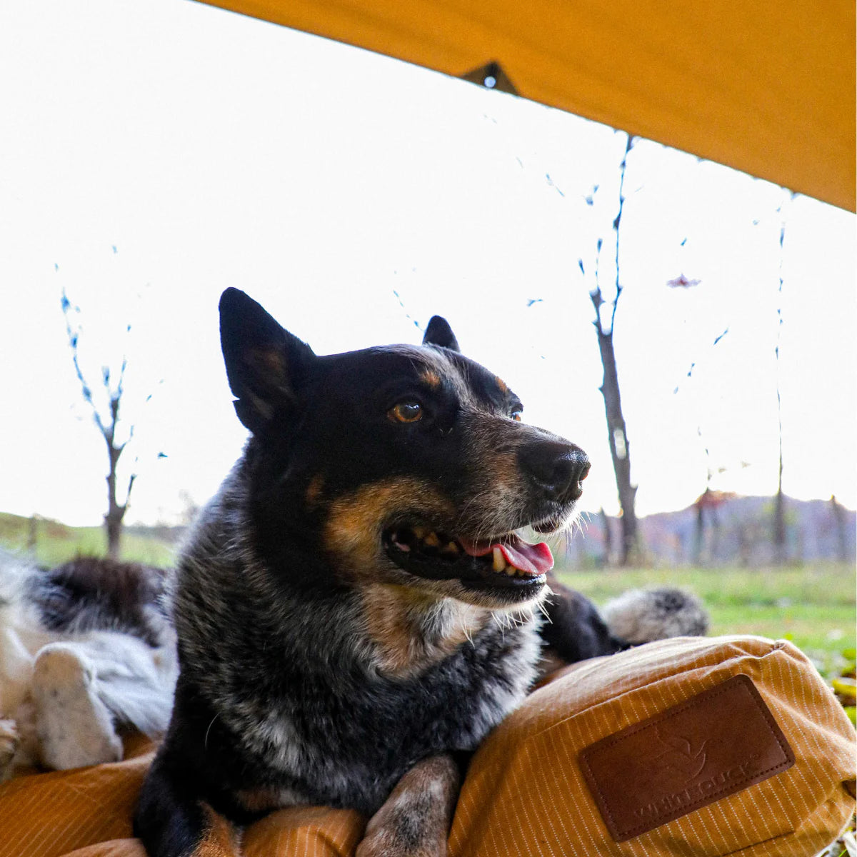 White Duck Sunshade Tarp
