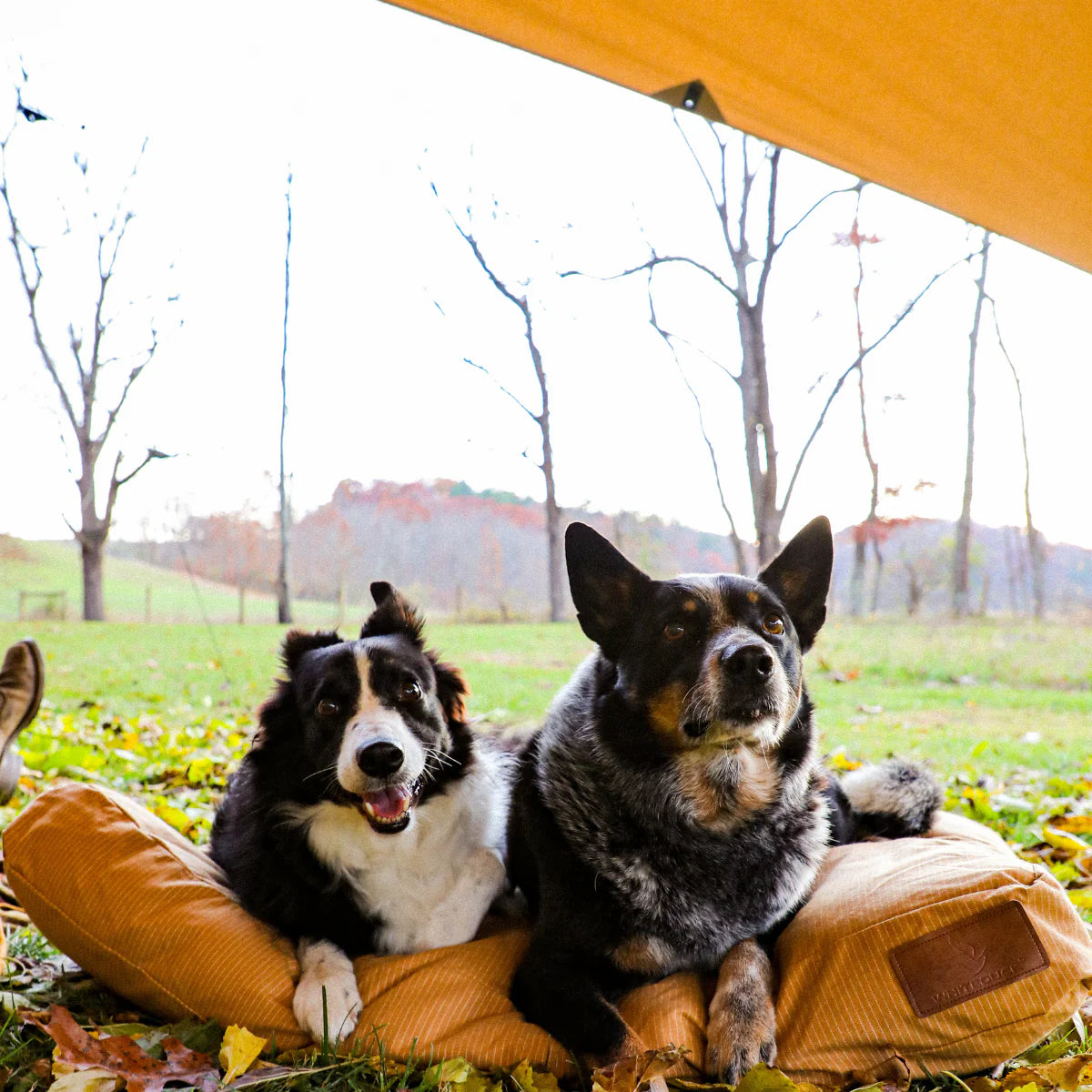 White Duck Sunshade Tarp
