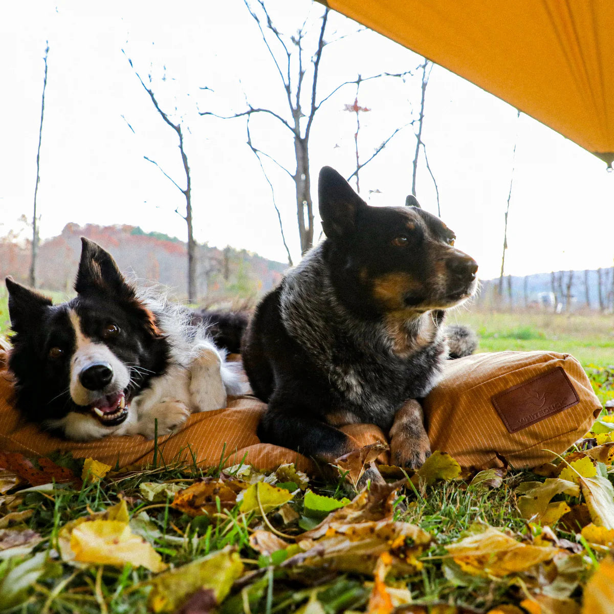White Duck Sunshade Tarp